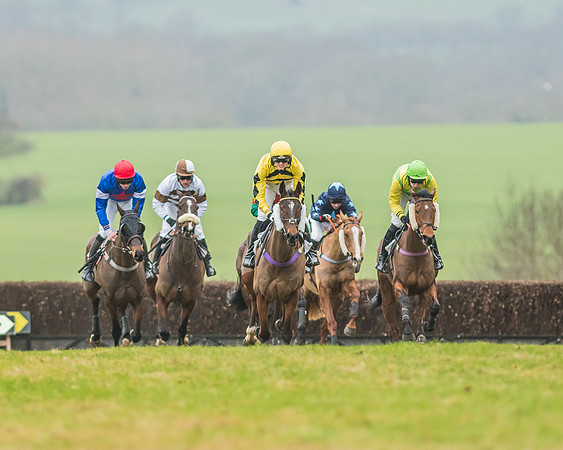 Race 5 - Restricted Race-23