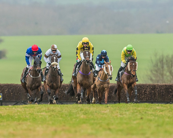 Race 5 - Restricted Race-24