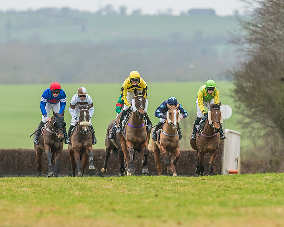 Race 5 - Restricted Race-25