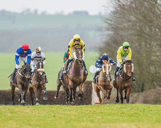 Race 5 - Restricted Race-26