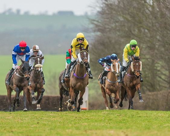 Race 5 - Restricted Race-28