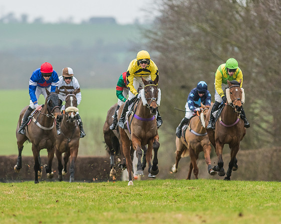 Race 5 - Restricted Race-29