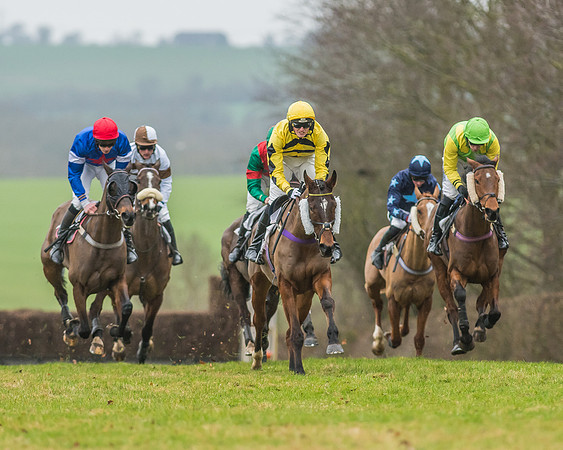 Race 5 - Restricted Race-30
