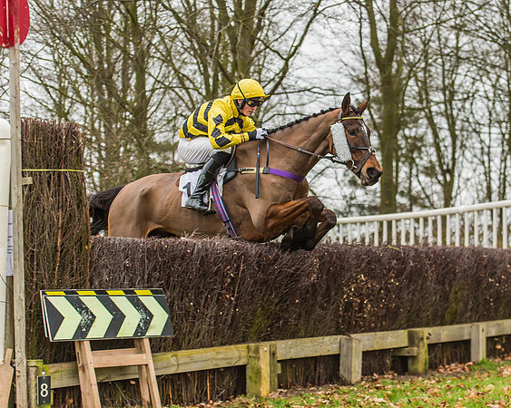 Race 5 - Restricted Race-31