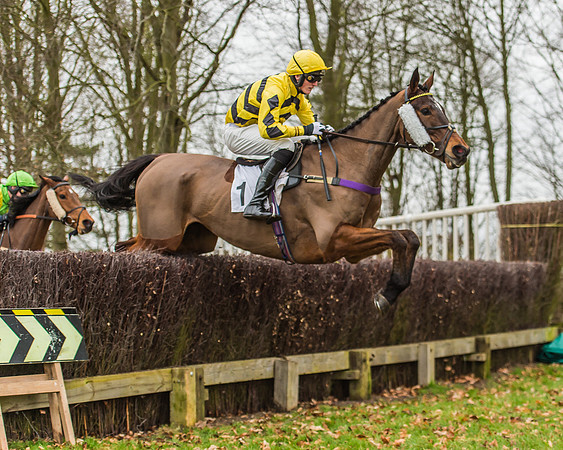 Race 5 - Restricted Race-32