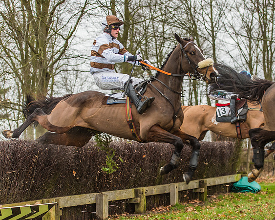 Race 5 - Restricted Race-35