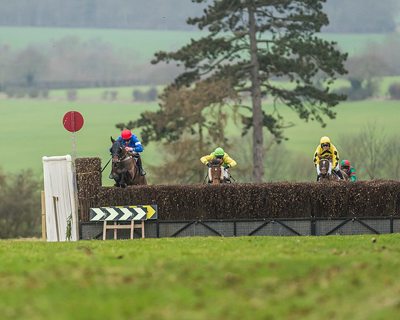 Race 5 - Restricted Race-37
