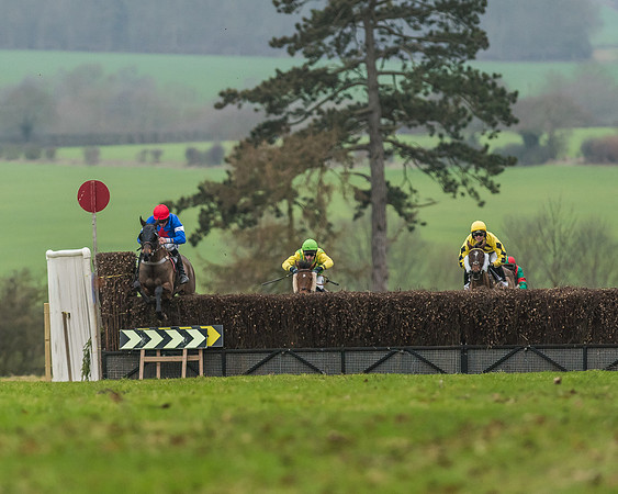 Race 5 - Restricted Race-38