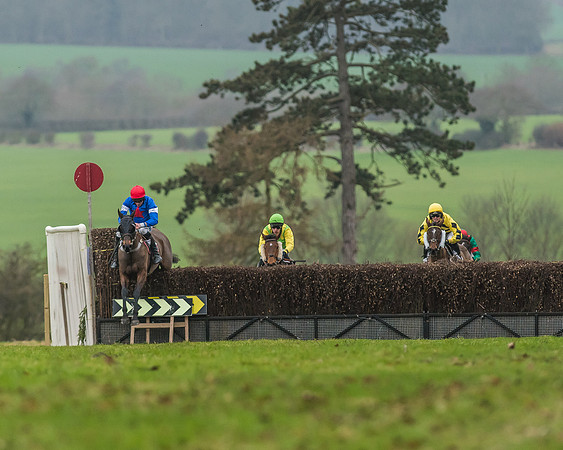 Race 5 - Restricted Race-39