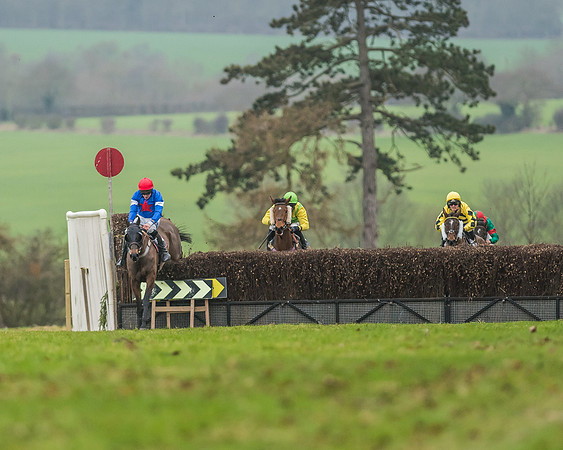 Race 5 - Restricted Race-40