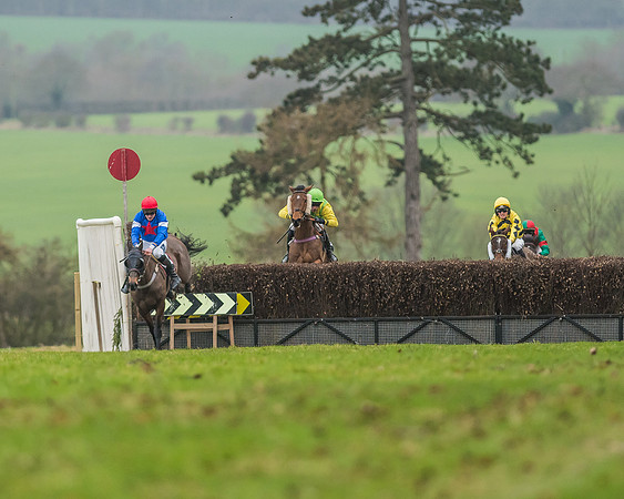 Race 5 - Restricted Race-41