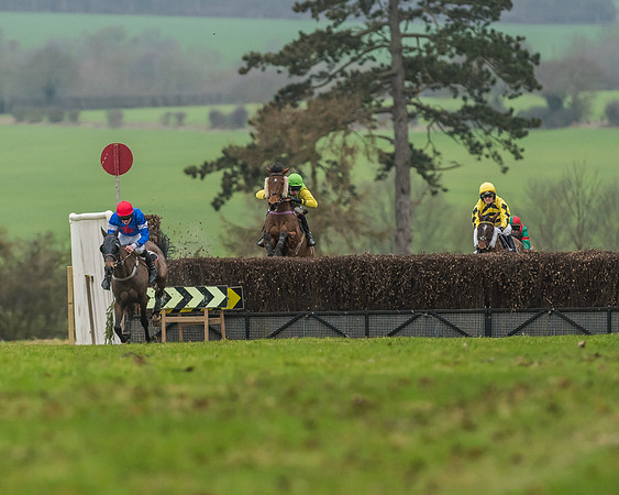 Race 5 - Restricted Race-42