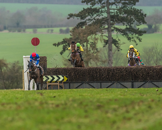 Race 5 - Restricted Race-43