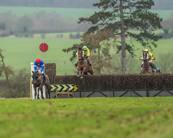 Race 5 - Restricted Race-44