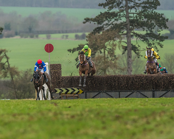 Race 5 - Restricted Race-45