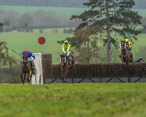 Race 5 - Restricted Race-47