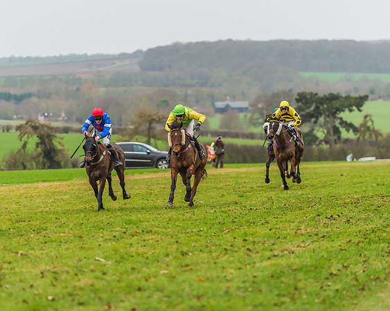 Race 5 - Restricted Race-49