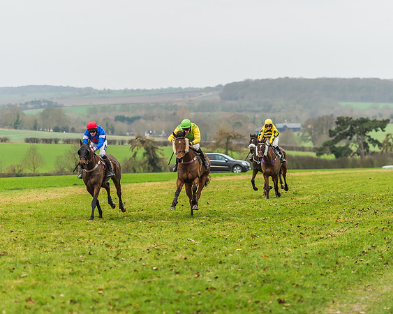 Race 5 - Restricted Race-51