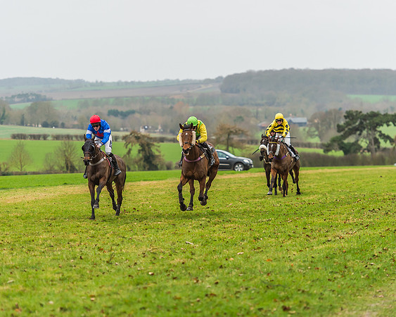 Race 5 - Restricted Race-50