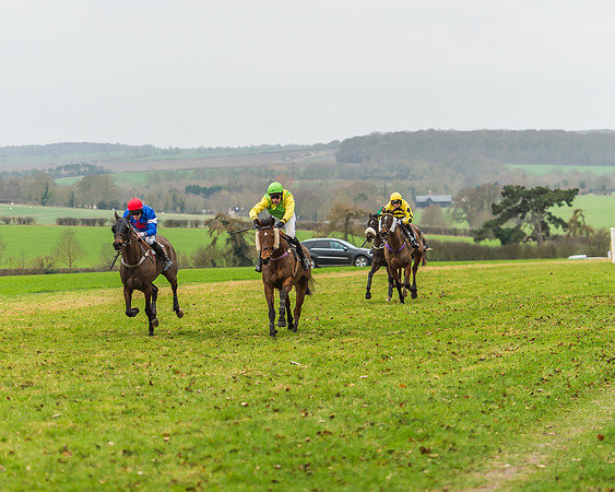 Race 5 - Restricted Race-52