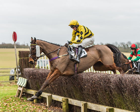 Race 5 - Restricted Race-61