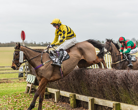 Race 5 - Restricted Race-62