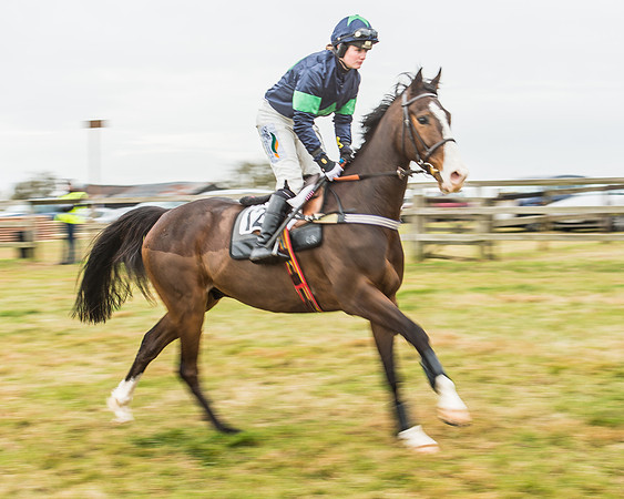 Race 6 - Open Maiden-6
