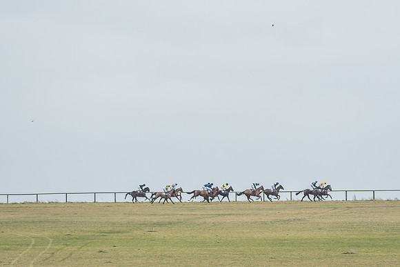 Race 6 - Open Maiden-10