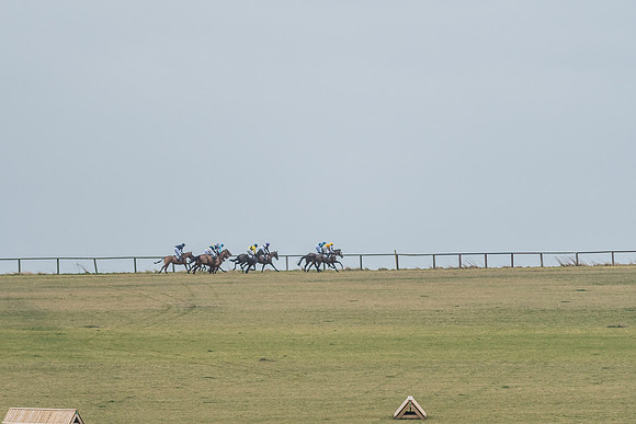 Race 6 - Open Maiden-42