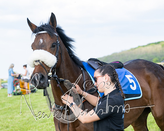 Race 6 - Intermediate (6 of 212)