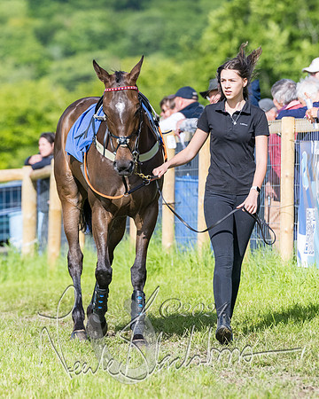 Race 6 - The Maiden  (6 of 448)