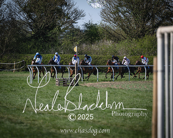 Race 6 - Veteran horse (68 of 109)