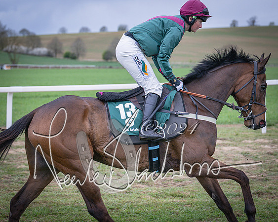 Race 6 - The Restricted Race (2 of 101)