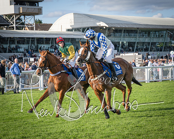 Race 4 - Peretemps Stratford Foxhunters (35 of 168)