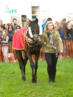 Kimblewick at Kimble Restricted Race