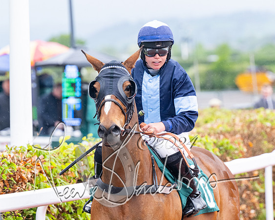Race 5 - Mares Open  (25 of 129)
