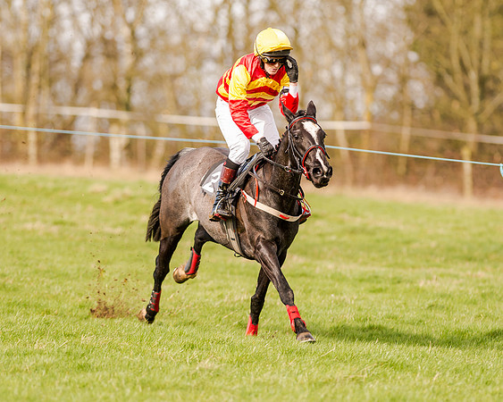138cm Open Pony Race (43 of 62)