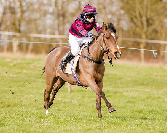138cm Open Pony Race (52 of 62)