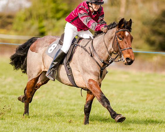 138cm Open Pony Race (60 of 62)