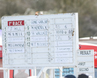 Race 1 - 2m4f Young Horse Maiden (1 of 153)