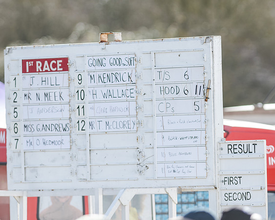 Race 1 - 2m4f Young Horse Maiden (1 of 153)