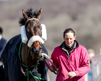 Race 1 - 2m4f Young Horse Maiden (2 of 153)