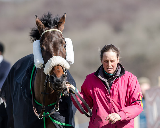 Race 1 - 2m4f Young Horse Maiden (2 of 153)