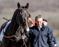 Race 1 - 2m4f Young Horse Maiden (4 of 153)