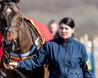 Race 1 - 2m4f Young Horse Maiden (5 of 153)