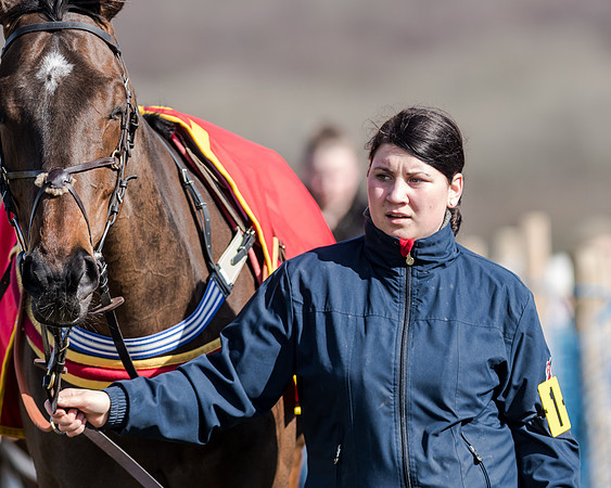 Race 1 - 2m4f Young Horse Maiden (5 of 153)