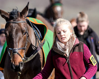 Race 1 - 2m4f Young Horse Maiden (6 of 153)