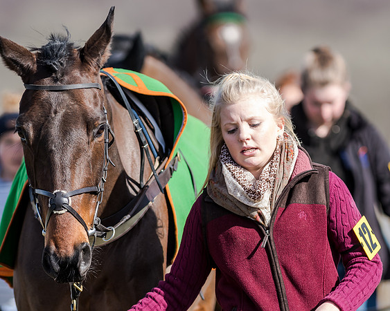 Race 1 - 2m4f Young Horse Maiden (6 of 153)