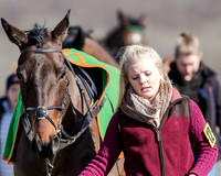 Race 1 - 2m4f Young Horse Maiden (7 of 153)