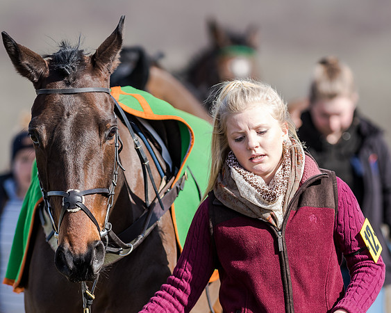 Race 1 - 2m4f Young Horse Maiden (7 of 153)